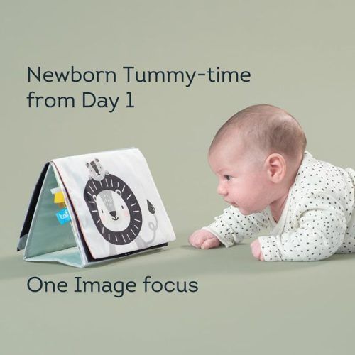 Alternative view of Taf Toys - Εκπαιδευτικό Βιβλιαράκι Savannah Tummy