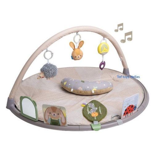 Taf Toys Tummy-time activity gym