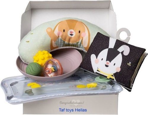 TAF TOYS TUMMH BATH TIME