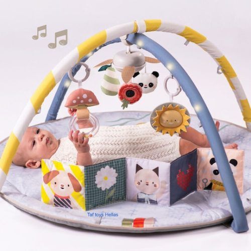TAF TOYS Γύμναστήριο με Δραστηριοτητες Melody Bloom Gym