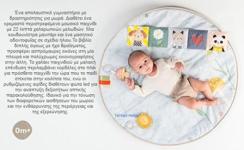 Alternative view of TAF TOYS Γύμναστήριο με Δραστηριοτητες Melody Bloom Gym
